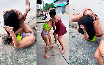 Pelea de dos perras se van a los golpes por un guebo😳